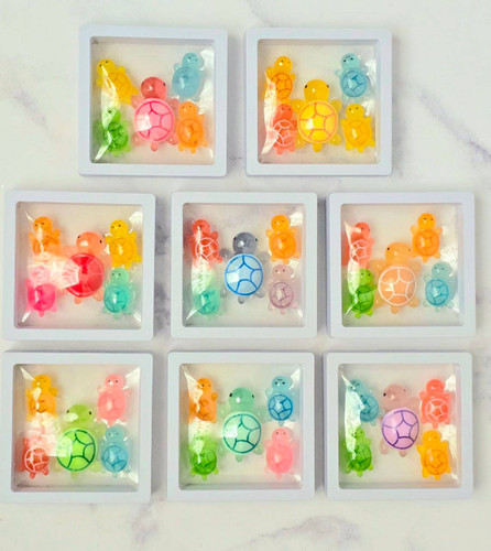 لاک پشت شب نما